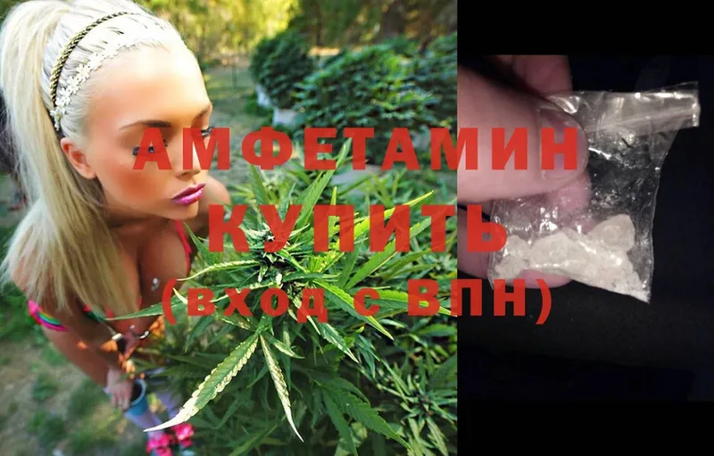 Amphetamine Premium  Куровское 